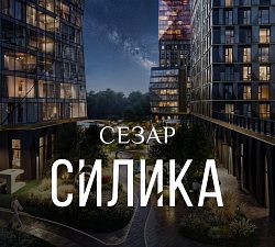 ЖК СЕЗАР СИЛИКА