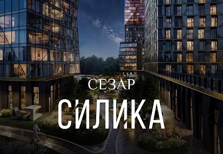 ЖК СЕЗАР СИЛИКА